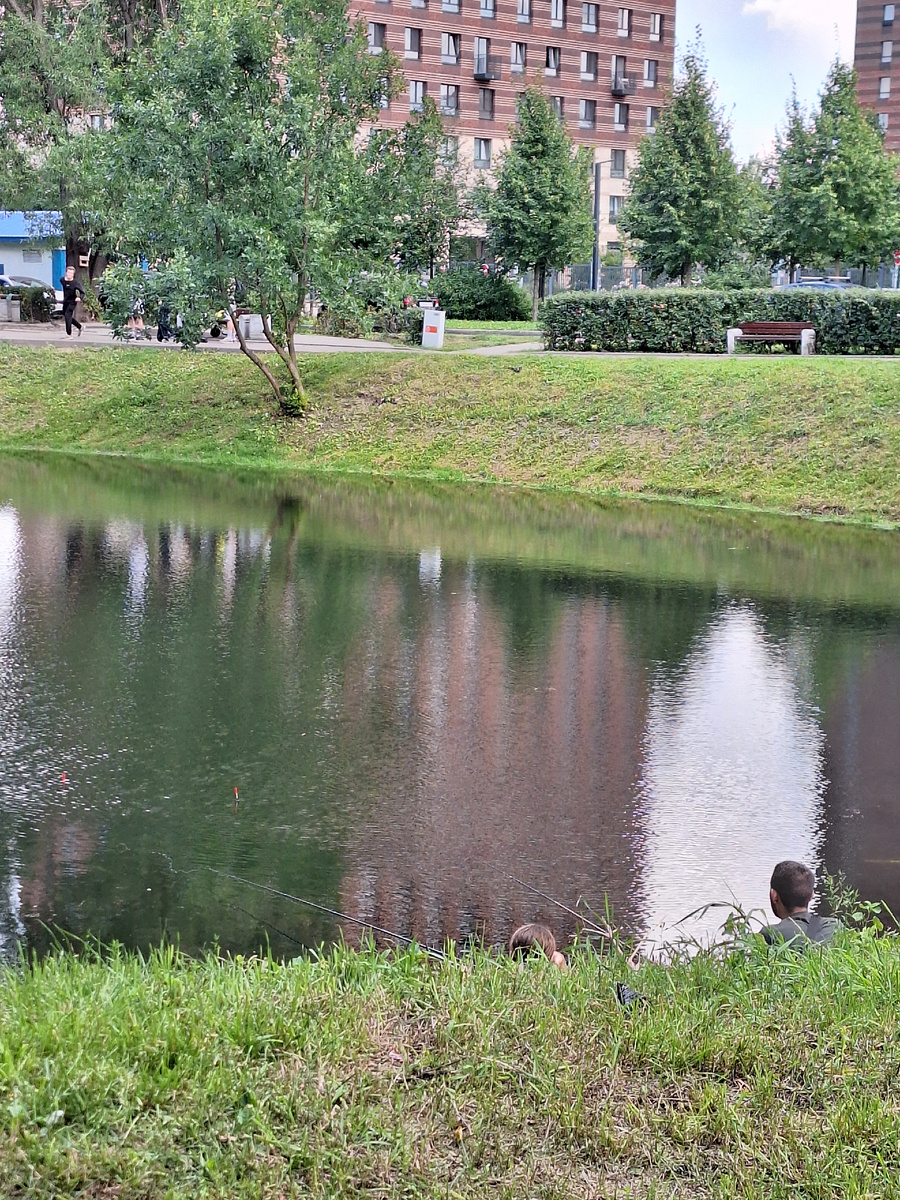 Фото - собственность автора канала.