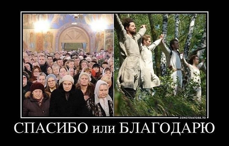 Картинка из свободных источников