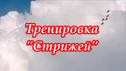 Тренировка Стрижей.