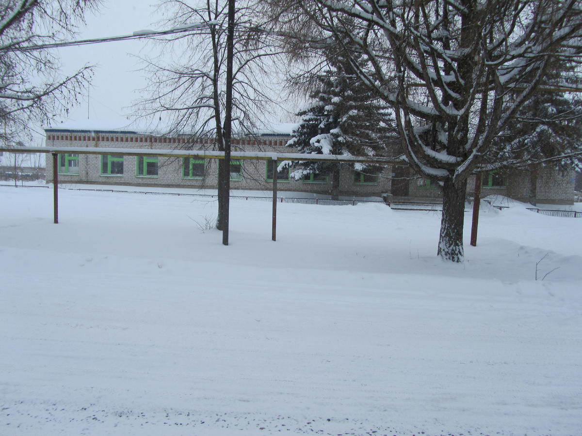 п. им.Тимирязева в Городецком муниципальном округе, фото 19 января 2013 года