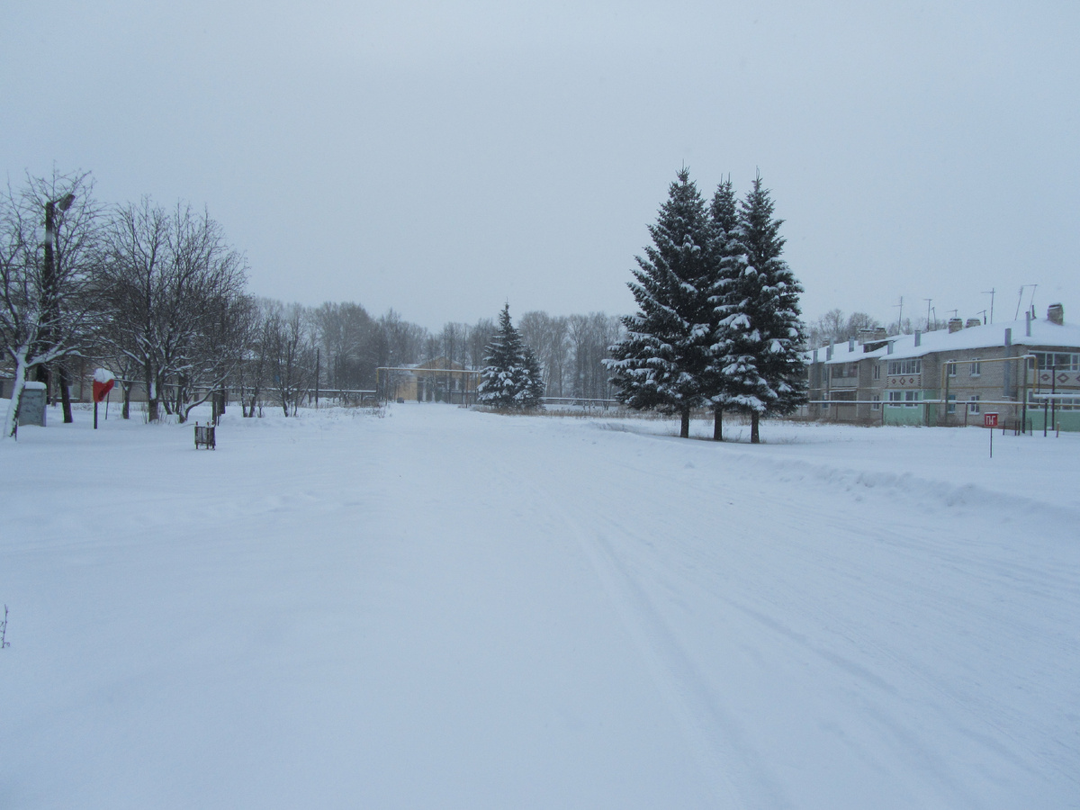 п. им.Тимирязева в Городецком муниципальном округе, фото 19 января 2013 года