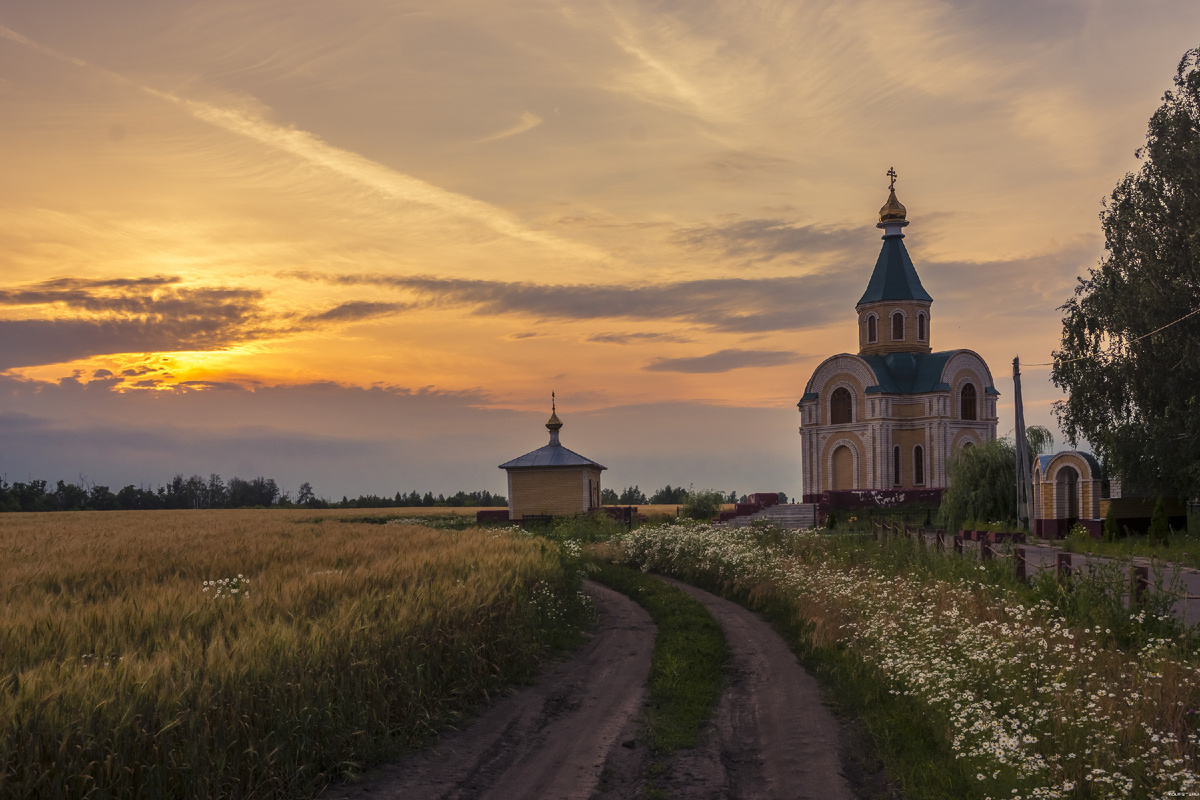 фото из открытого доступного источника сети интернет