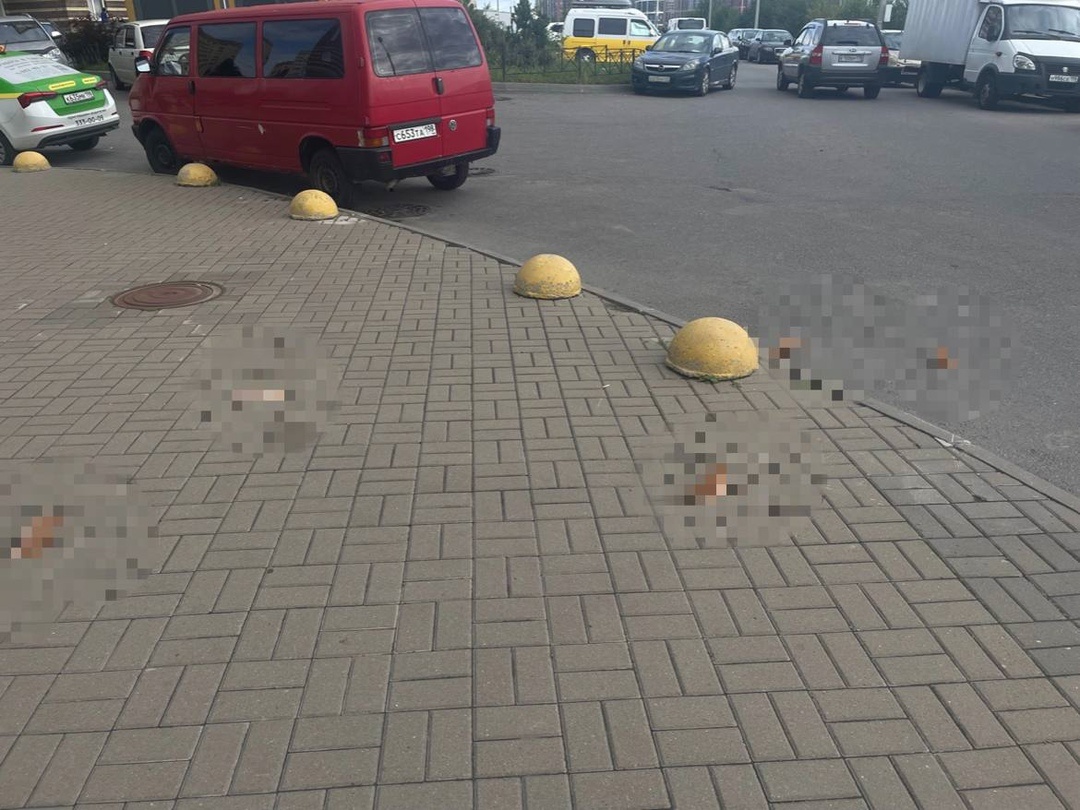 Из открытых источников 