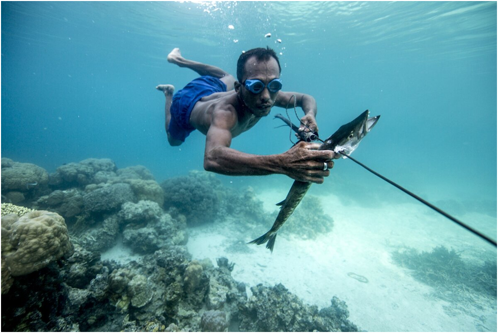 “Bajau Fishing” (баджао, ловящий рыбу):  https://cdn.lifegate.it/MghmwoM6_zQLZMRRjafTwDuUihM=/1920x0/smart/https://www.lifegate.com/app/uploads/2020/06/bajau-laut-13-1.jpg