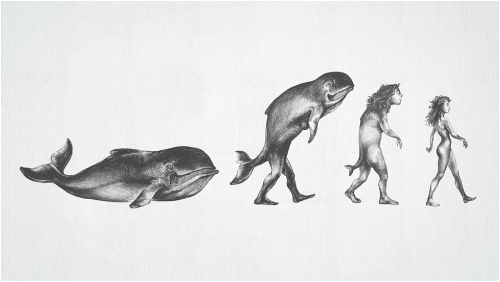 Иллюстрация к тому, что выдаётся за «акватическую теорию» – источник: https://dzen.ru/a/ZlgRUk0nSm24Ho-7