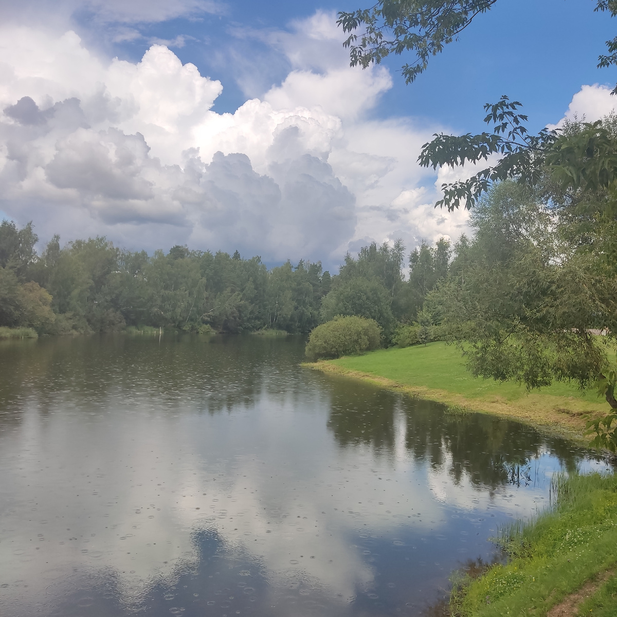 Природа  Николо- Урюпино