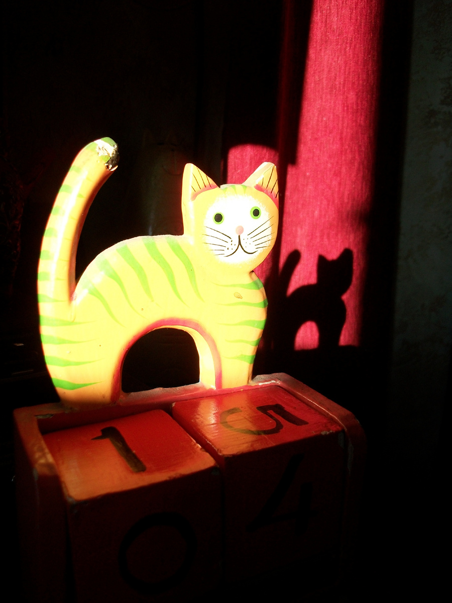 Солнце, Рыжий Кот и Тень... / МОСКОВСКИЙ МУЗЕЙ КОШКИ