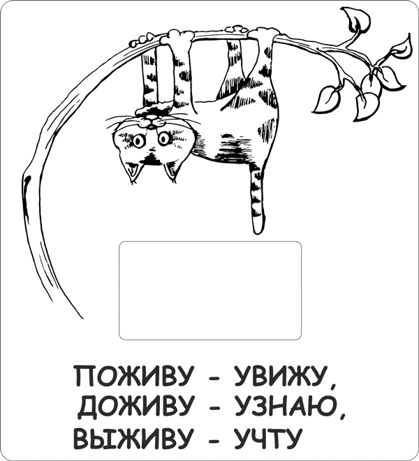 источник Яндекс-картинки