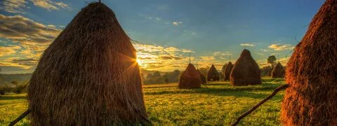 фото из свободных источников