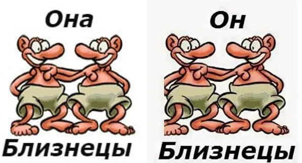 Zodiakalnie Blizneci. Vedayu po zvezdam