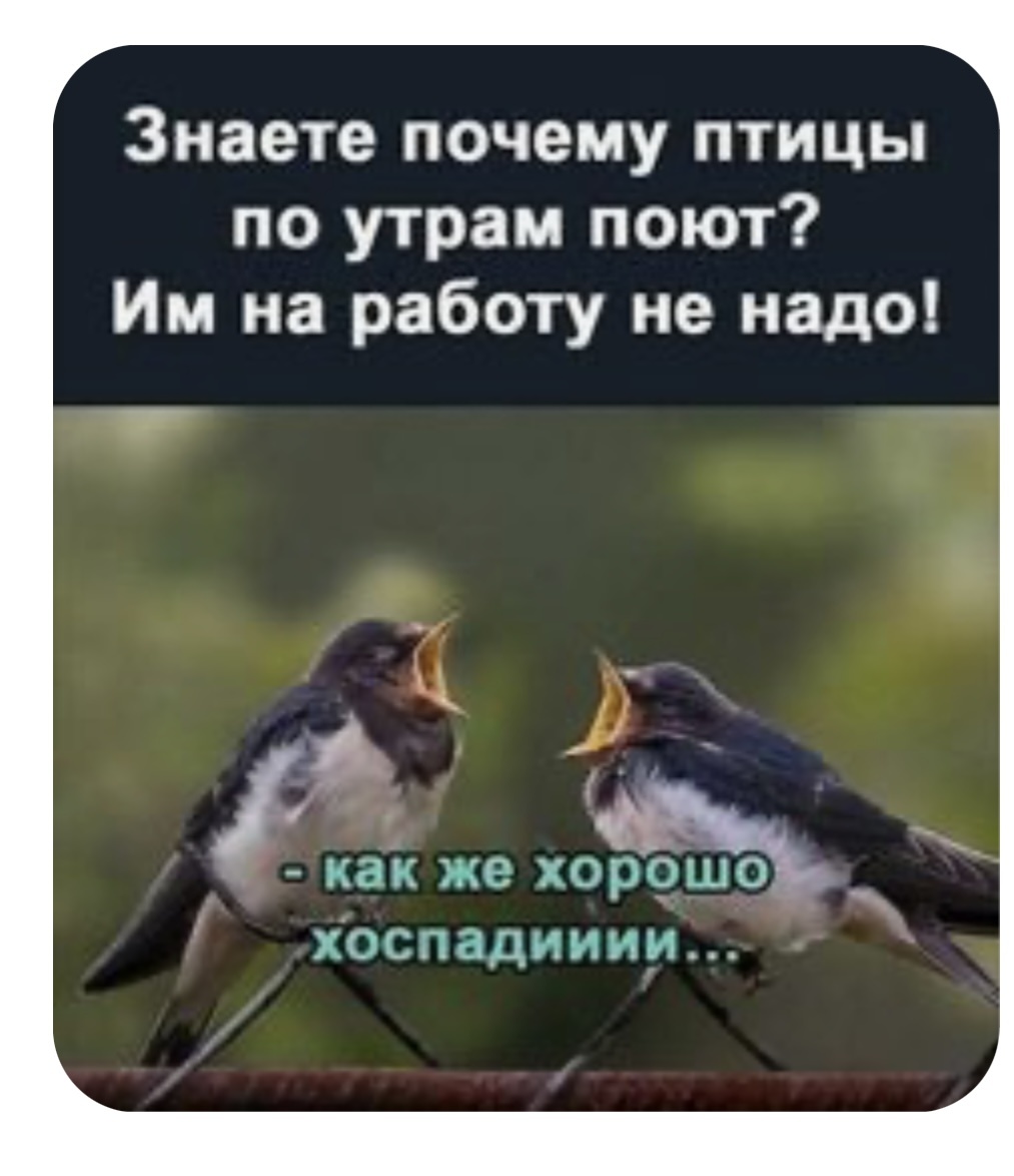 Фото из интернета 