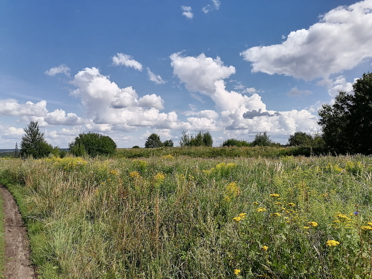 Вид вала городища Сунгирь с севера с грунтовой дороги. Дальше по высокой траве пешком без тропинок.