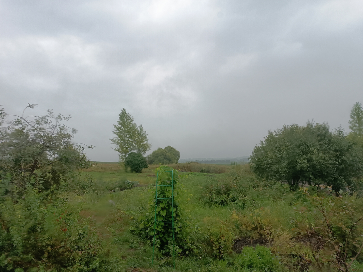 Дождь поливает. Фото через стекло окна. 