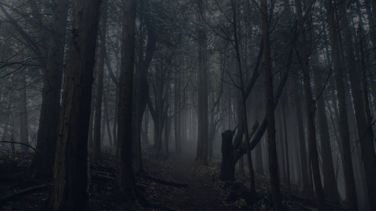 https://dia-logika.ru/prirodnie-istorii/aokigahara-les-1800.php