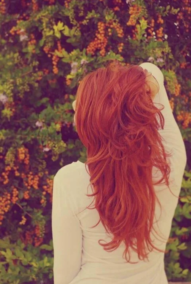 Фото из открытых источников интернета.