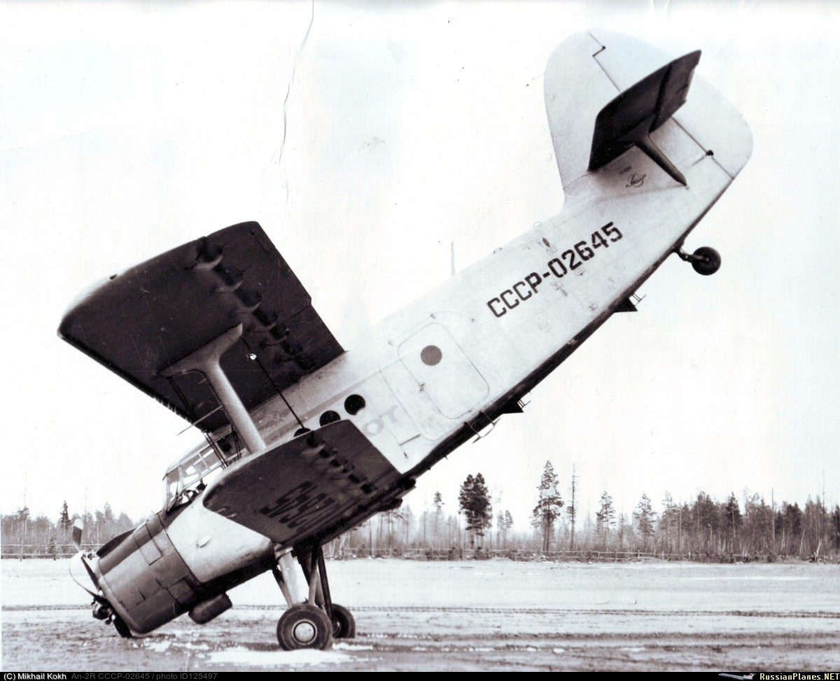 Источник: Михаил Кох