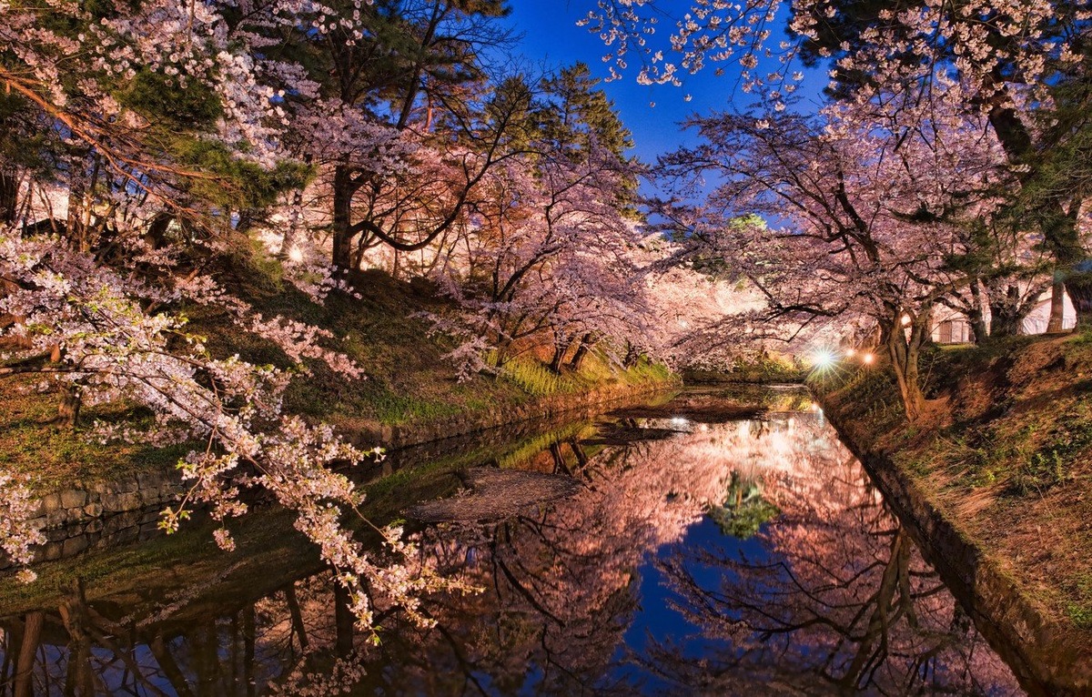 https://baldezh.top/uploads/posts/2021-04/1617326718_49-p-oboi-sakura-tsvetet-v-yaponii-55.jpg
