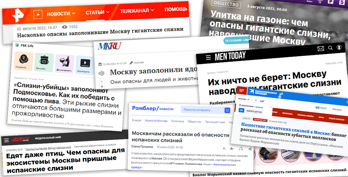 Страшные заголовки про гигантских слизней