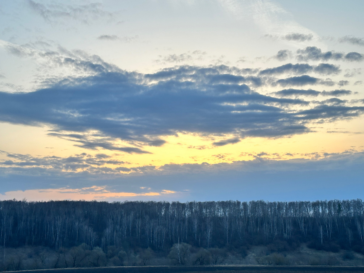 Всемирный банк повысил прогноз роста ВВП России в 2024 году до 2,9% с апрельских 2,2%. Оценка роста экономики страны в 2025 году повышена до 1,4% с 0,9% в апреле, прогноз на 2026 год остался без изменений — на уровне 1,1%. В то же время Всемирный банк повысил прогноз по росту мирового ВВП на 2024 год до 2,6%