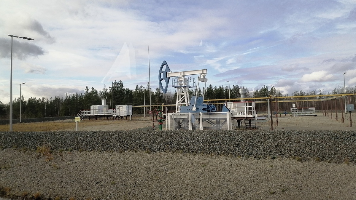     Источник: 1MI