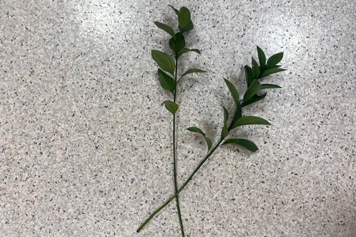 Фото: ИА "Хакасия" 