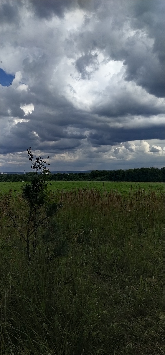 Личное фото