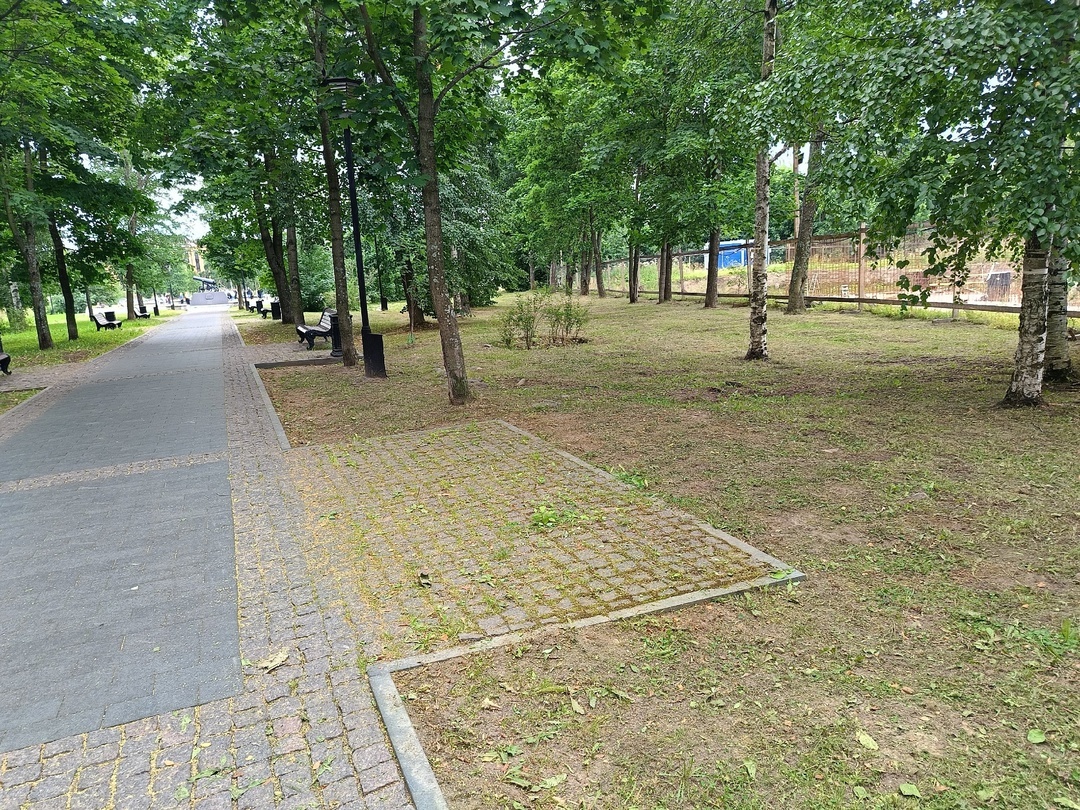    Три скамейки бесследно исчезли в ПетрозаводскеПодслушано в ПТЗ | Петрозаводск