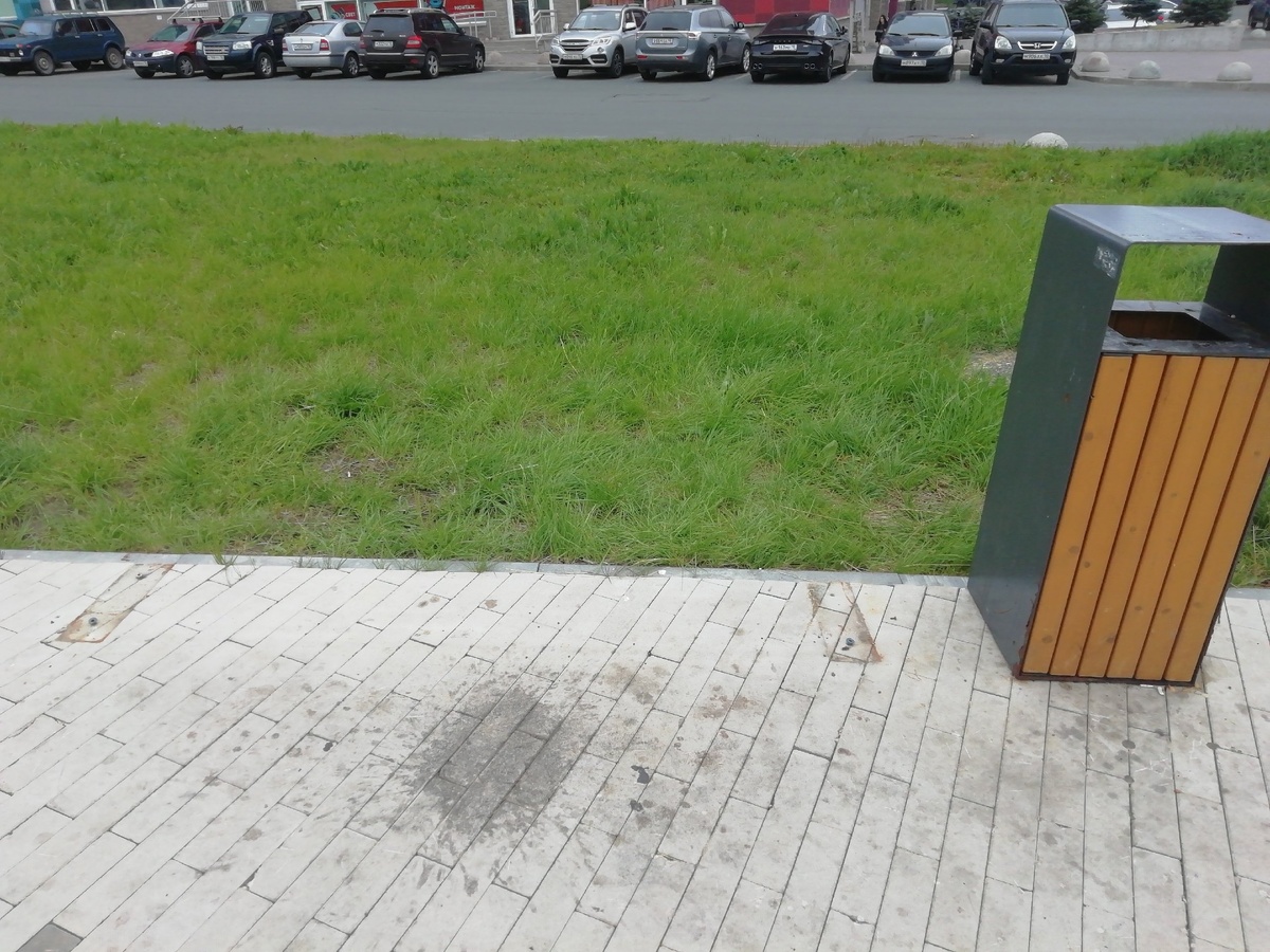    Три скамейки бесследно исчезли в ПетрозаводскеПодслушано в ПТЗ | Петрозаводск