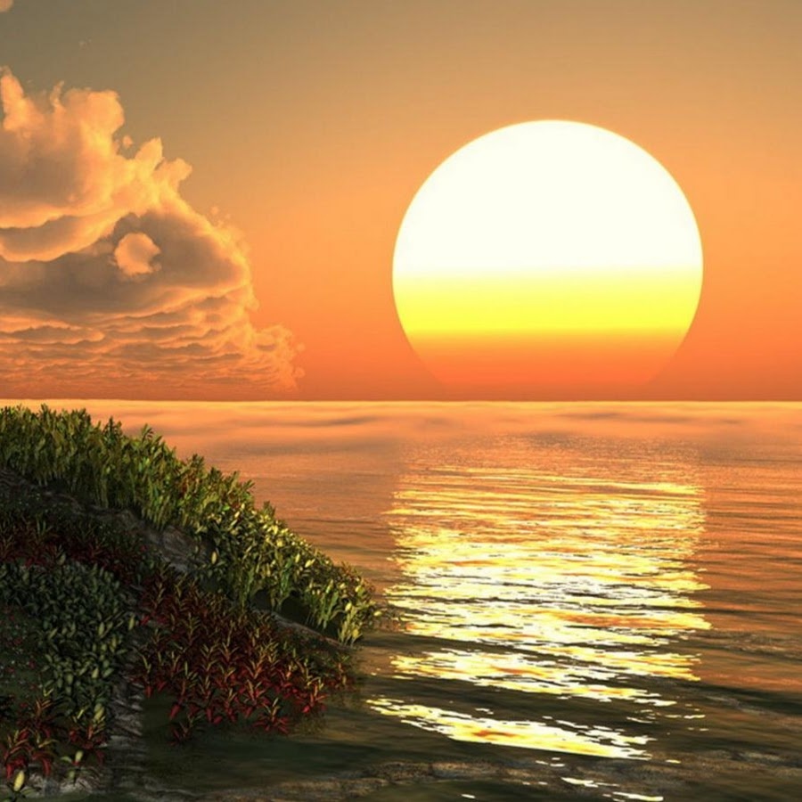 Яндекс. Открытый источник 