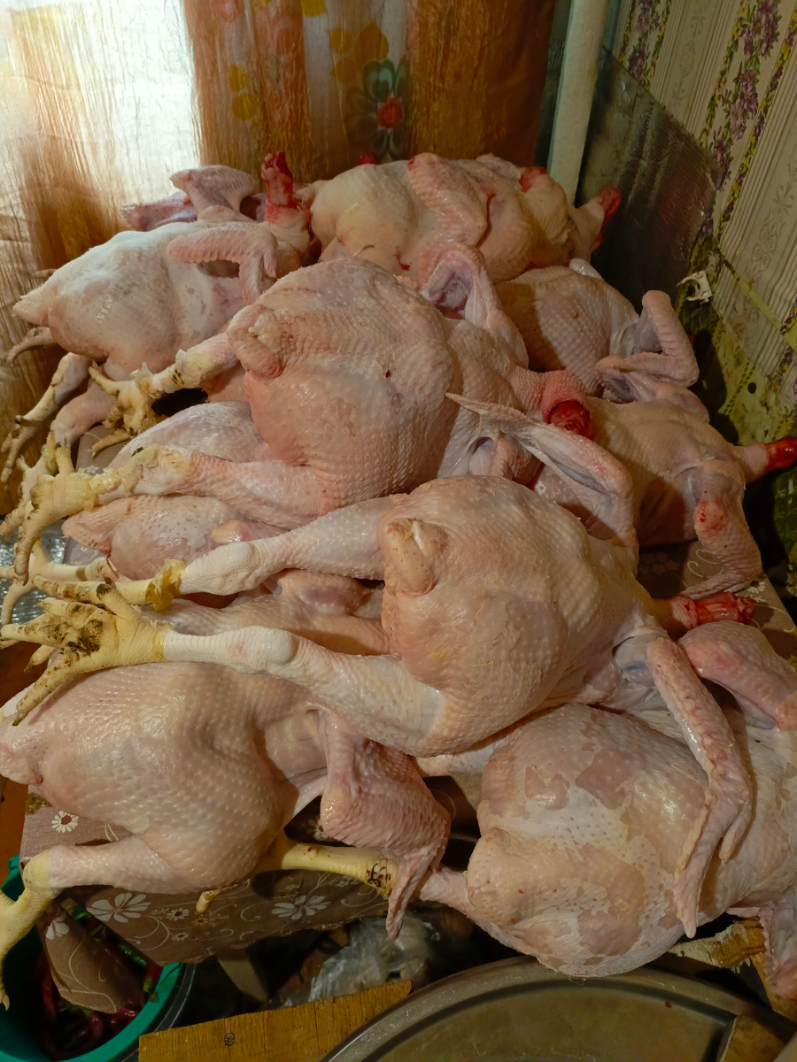 Тушки бройлеров фото Автора