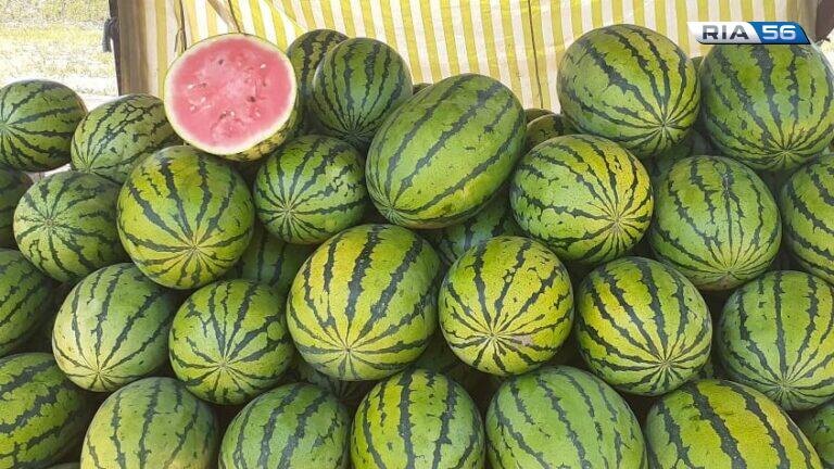    Оренбуржцам рассказали, как выбрать спелый и вкусный арбуз Кристина Просвиркина