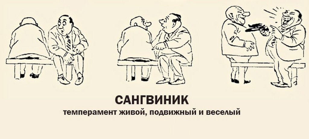 Сангвиник изображение. Сангвиник картинки. Свонквинк. Сангвиник. Сангник.