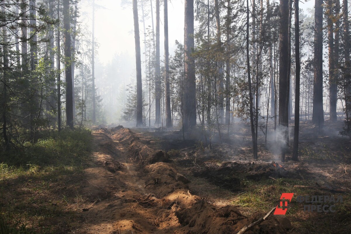 Власти республики запросили помощь у соседних регионов.  Фото: ФедералПресс / Ольга Юшкова