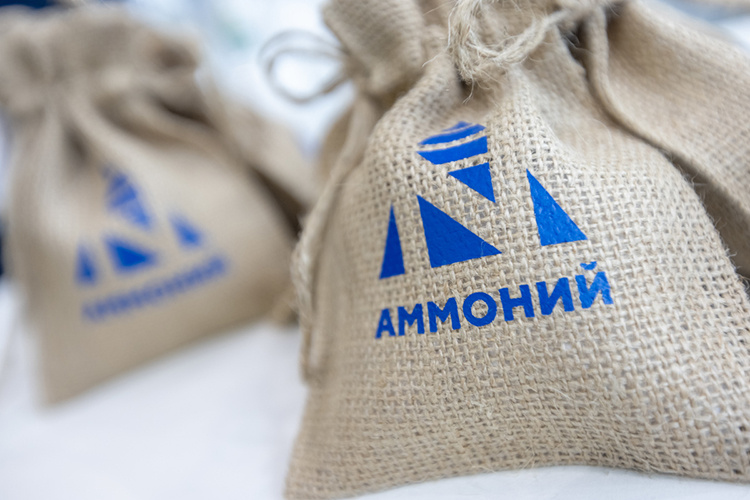    Беляев напомнил, что Менделеевск входит в топ-10 моногородов России и является местом зарождения большой химии.   
Фото: «БИЗНЕС Online»