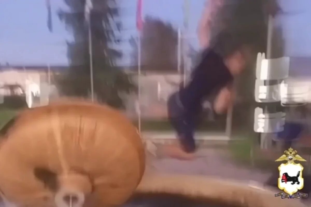    Сломавших фонтан подростков задержали в Иркутском районе