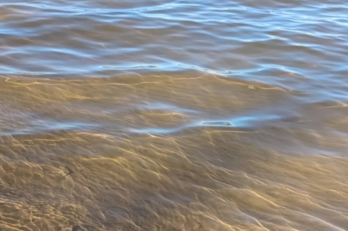    Даже спокойная водная гладь может таить смертельную опасность