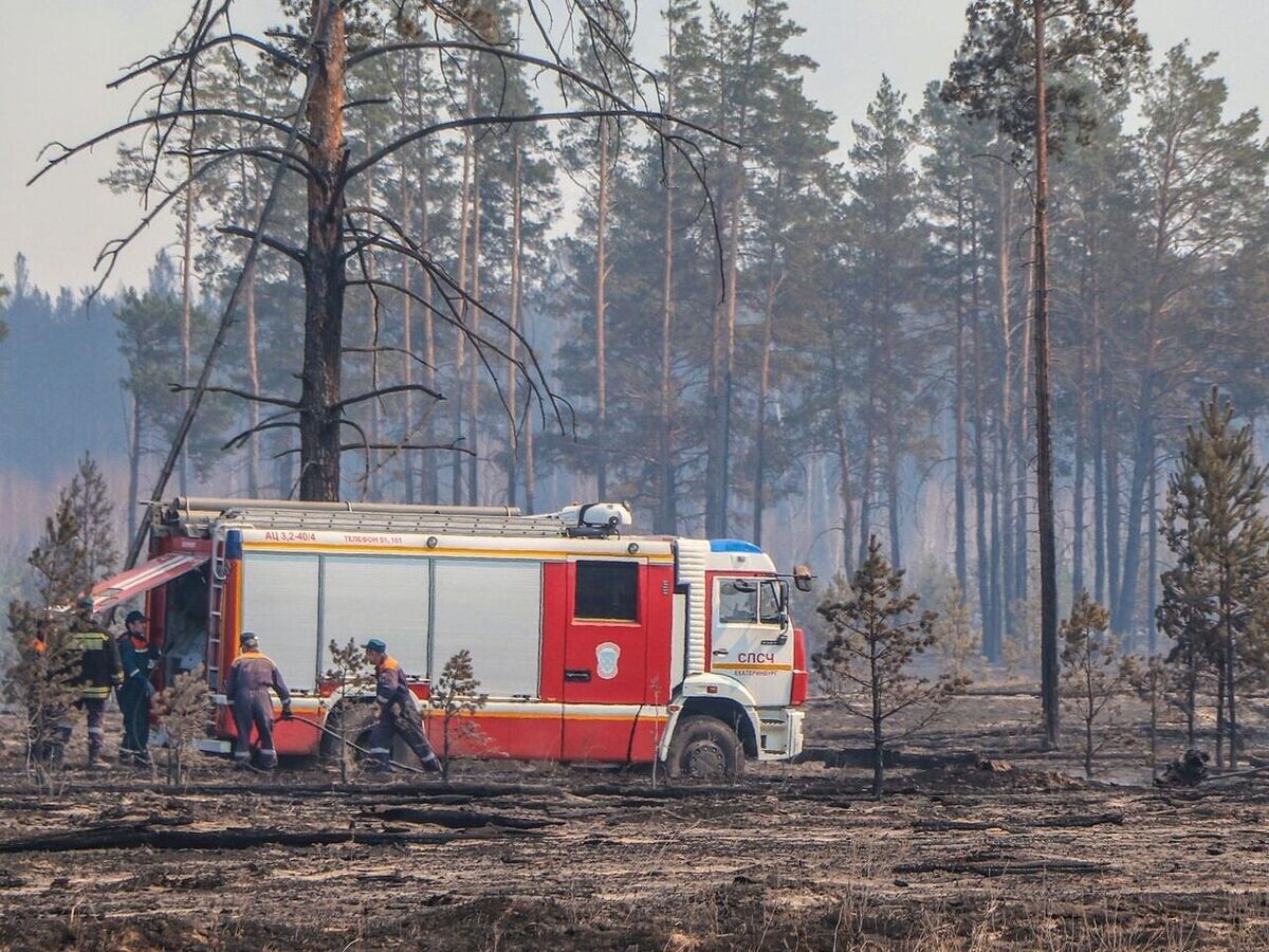    Сотрудники МЧС тушат лесной пожар в Курганской области© РИА Новости / Пресс-служба МЧС по Курганской области