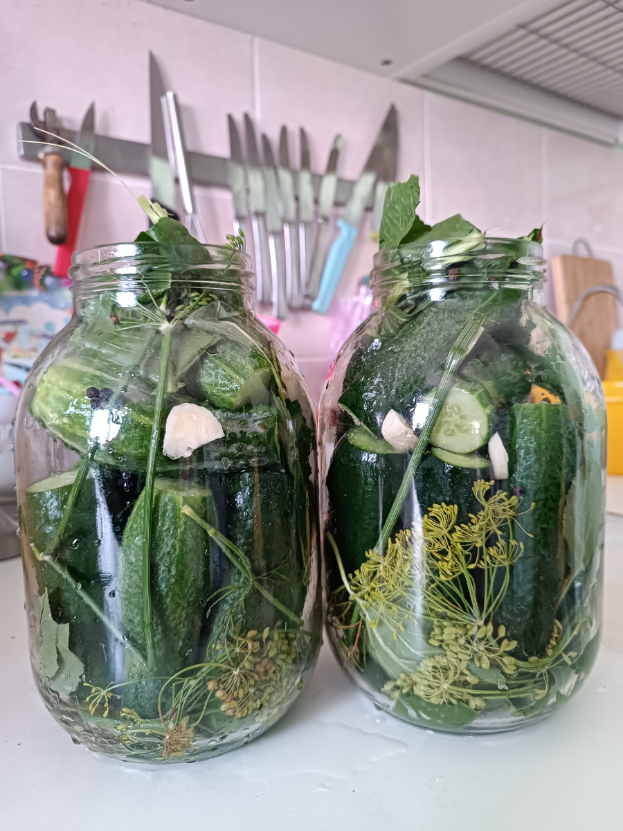 Плотненько упакованные огурчики