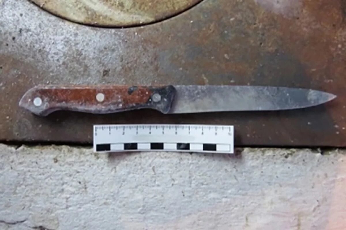    Ранее судимая самарчанка ударила ножом сожителя из-за бытовых мелочей