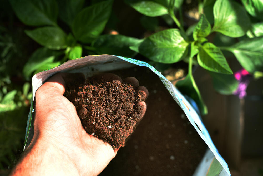    Выбирайте грунт с учетом потребности растений, и те отблагодарят крепким здоровьем, пышным цветением и отличным урожаем