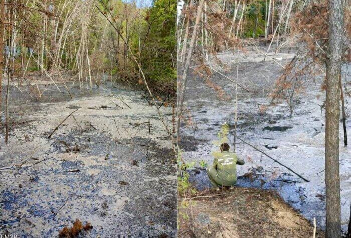 Фото: epp.genproc.gov.ru