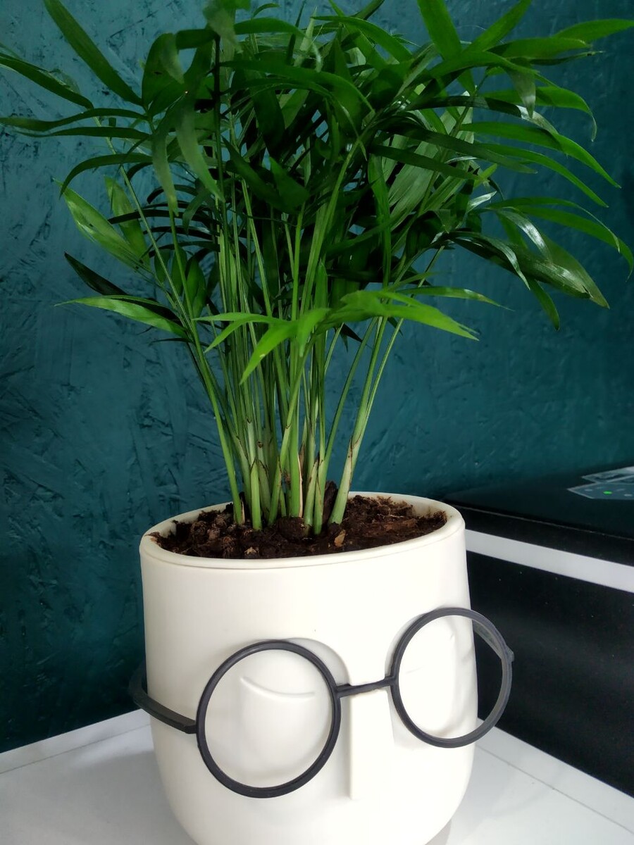 собственно, Игорь:) 