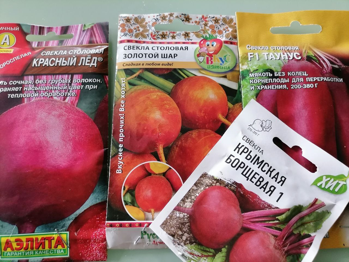 Семена свеклы, фото автора