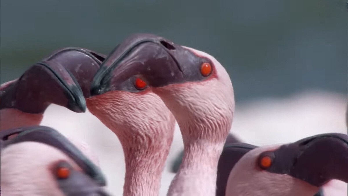 Фоткай быстрее, моя рабочая сторона на пределе