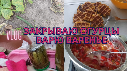 НЕОБЫЧНЫЙ ОГУРЕЦ🥒| ЯБЛОЧНО-МОРКОВНЫЕ ВАФЛИ🧇| ПП-УЖИН🍝| В САД ПОКА ХОДИТЬ НЕ БУДЕМ🤧