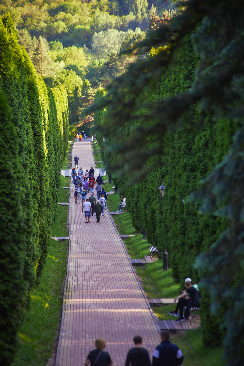 фото: Константин Кордонский