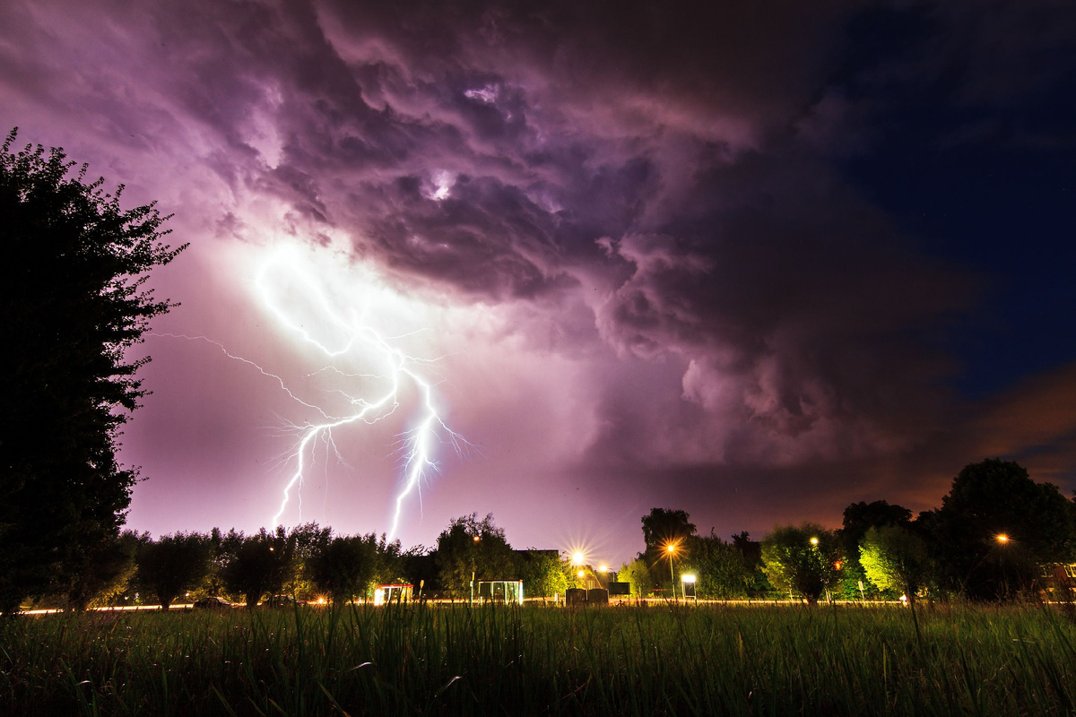 Фото: Dennis van de Water/Shutterstock/Fotodom
