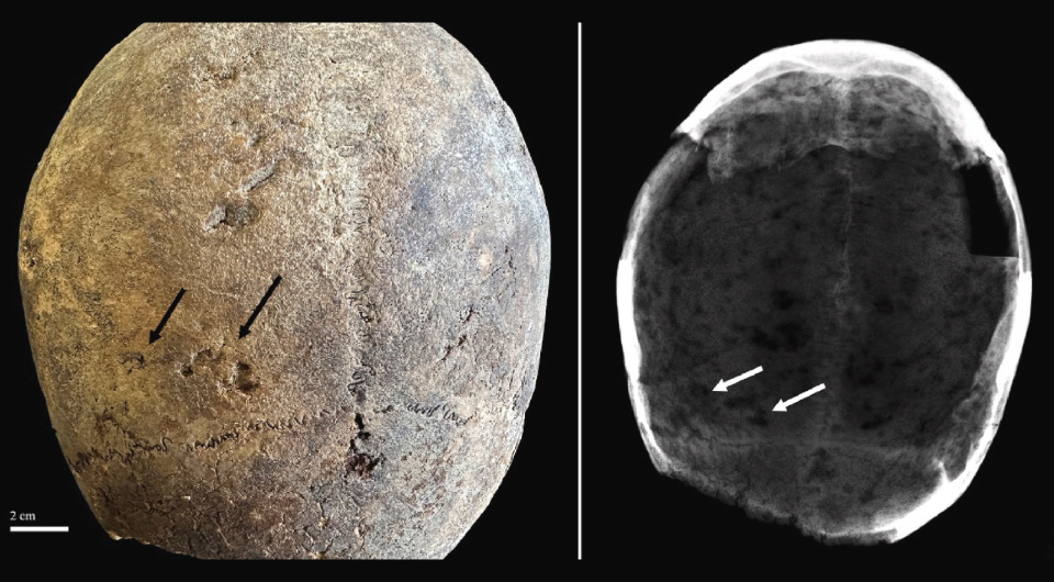   Gaia Giordano et al. / Journal of Archaeological Science, 2024
