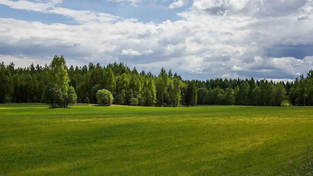     Источник: Сергей Крупин / vk