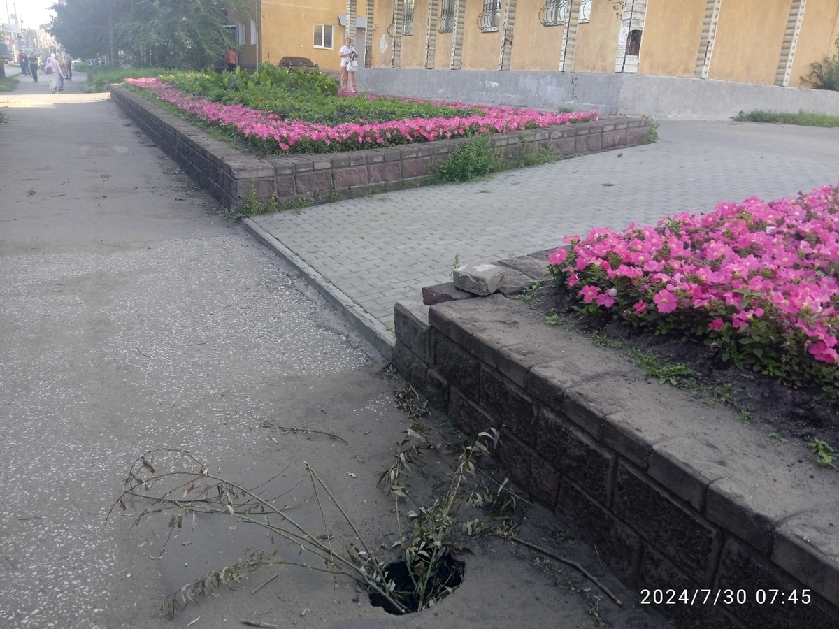 г.Омск тротуар по проспекту Карла Маркса  дом 77  и по удивительному стечению обстоятельств через дорогу здание администрации ЛАО г.Омска.  